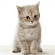 北美洲校队蔡徐鲲