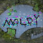 Mold