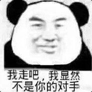 理塘丁真