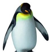 天天向上你觉得呢