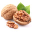 Michael_the_Walnut