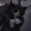 sleepn