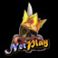 netplaykofs