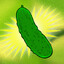 Mr Pickle