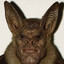 Avatar of player толясик