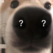 pp