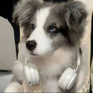 会拍照的小公主