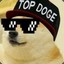 TOP_Doge_TOP