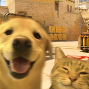 世上最美丽的女人