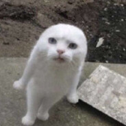 ⓙⓢשًٍٍٍٍٍٍٍٍٍّ