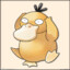 Psyduck