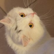 狂拽酷炫的名字