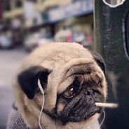 want3d sl'prince avatar