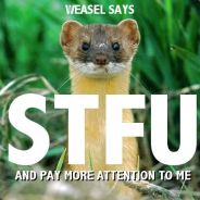 Peter {ῲῸΌ₮}