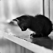 这只小喵不太冷！