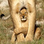Satıcı
