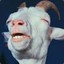 Goat