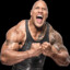 The Rock