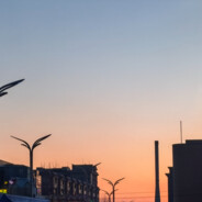 我只管钢枪剩下的靠你们了