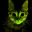 Radioactive Cat