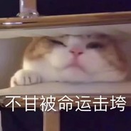 咕咕咕
