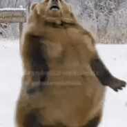 Huggy Bear