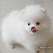 食之无味  弃之可惜