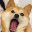 贰拾肆