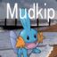 Mudkip