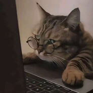 取个什么名字呢