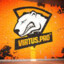 {VIRTUS.PRO}