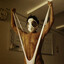 Dan_TSY