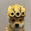 Giorno Dog