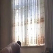 türkifsa - steam id 76561198986556142