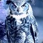 Ultramarine Owl