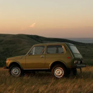 Нива на карбе