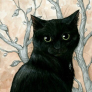 Black Cat