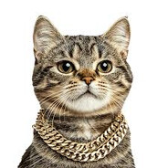 Popchax