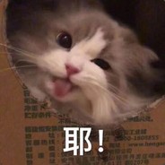 满船清梦压星河