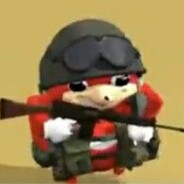 Kooji