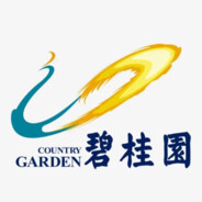 碧桂园有限公司