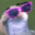 MichlMauser