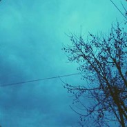 如今我这造梦的人i