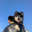 Muai