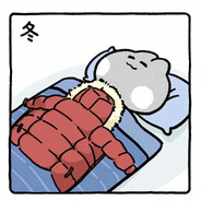 春乏秋困夏盹冬眠