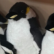 Наташа два баша