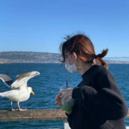 六爷只吃一碗粉