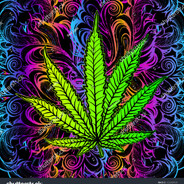 Egoow' - steam id 76561198359129045