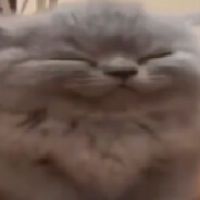 Fapsa