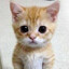 General Munchkin Man